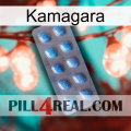 Kamagara viagra3